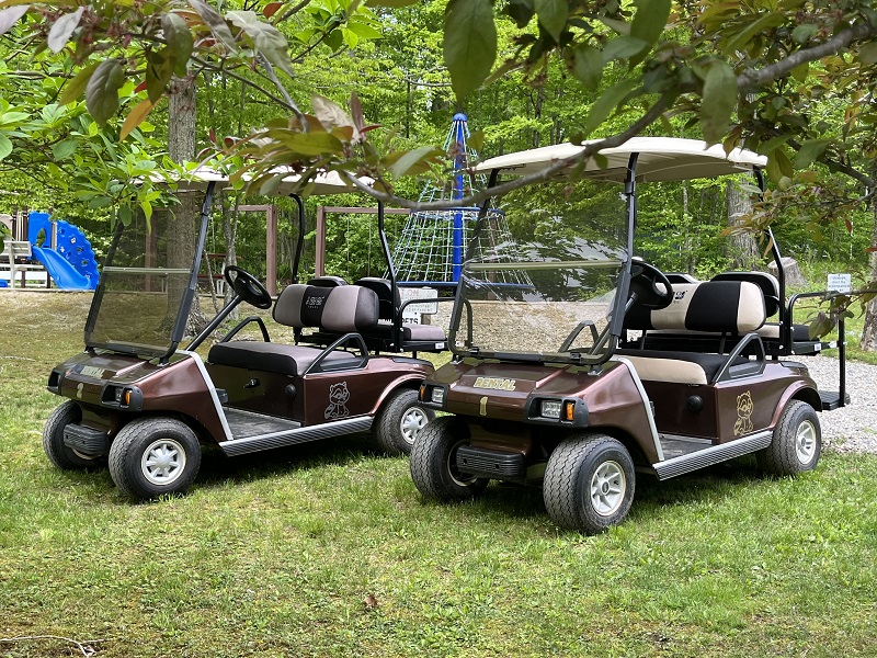 Golf Cart Rentals Ad